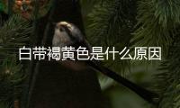 白带褐黄色是什么原因