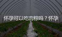 怀孕可以吃肉粽吗？怀孕吃什么比较好