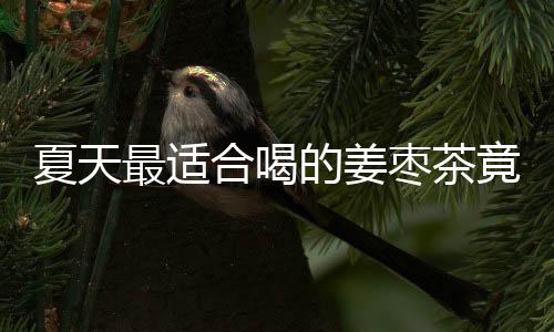 夏天最适合喝的姜枣茶竟是排湿养血之王？