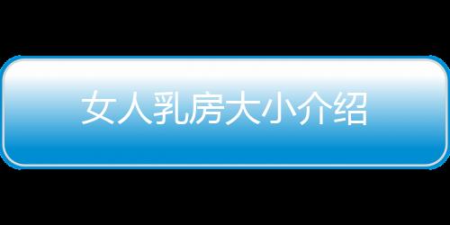 女人乳房大小介绍